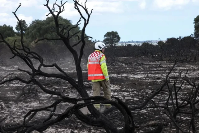 A man standing over a burnt grounds, including a tree. He is wearing a helmet and a orange high-vis jacker