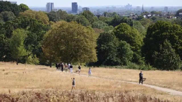 People walk through dry grass at Hampstead Heath
