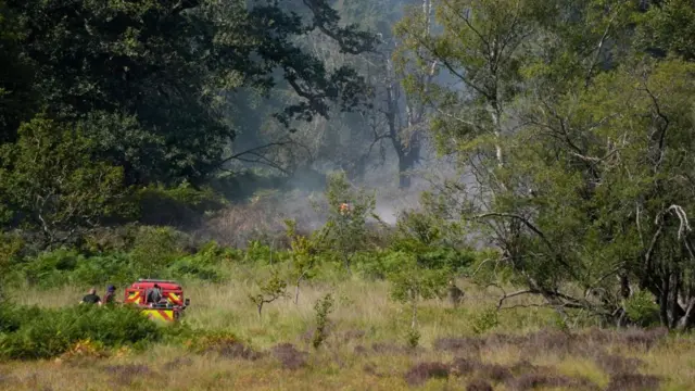 Firefighters tackle the fire at a major heathland blaze in the New Forest.