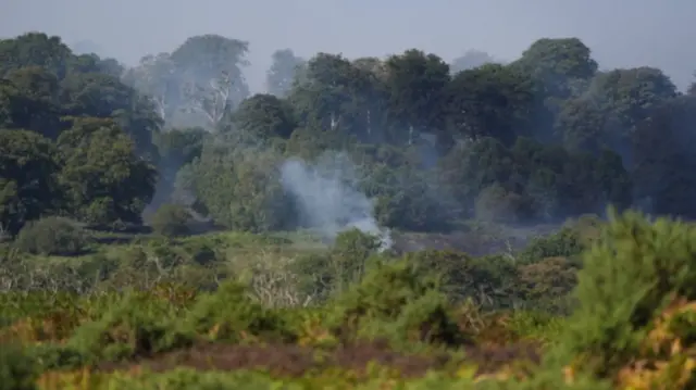 Smoke rises from a major heathland blaze in the New Forest near Ringwood in Hampshire.