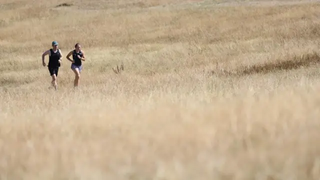 Runners jog through dry grass at Hampstead Heath