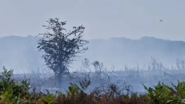 Fires destruction