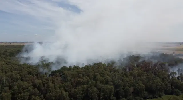 A drone image of the fire. There is a large plume of white smoke over green trees.