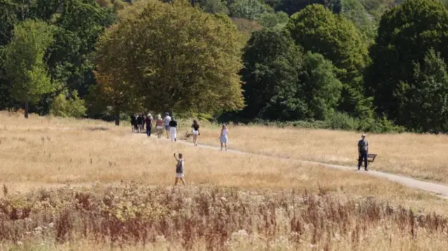 People walk through dry grass at Hampstead Heath in London.