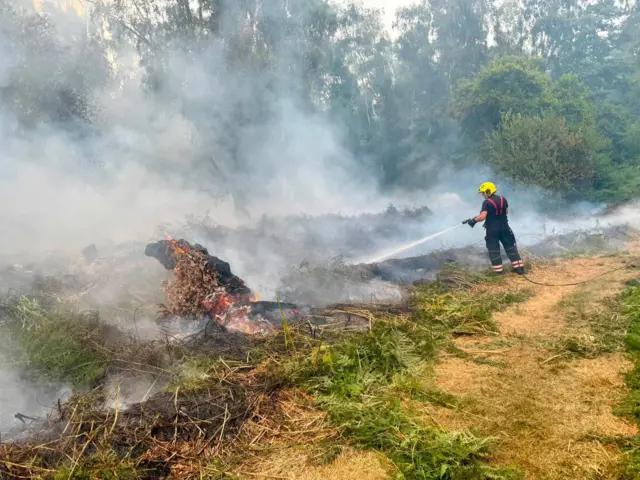 A firefighter in a blue uniform and a yellow helmet, using a hose pipe to put the fire out on what looks like burnt field.