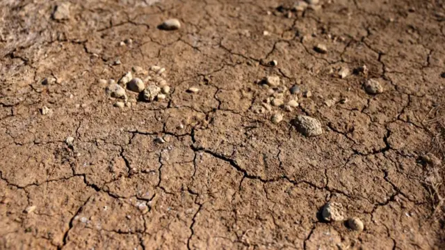 Brown cracked ground with rocks scattered across