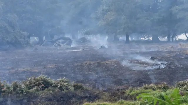 Fires destruction