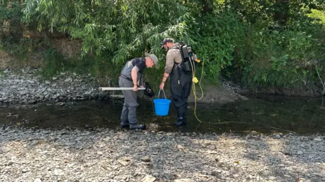 Two men in waders stand in a low level river with a bucket.