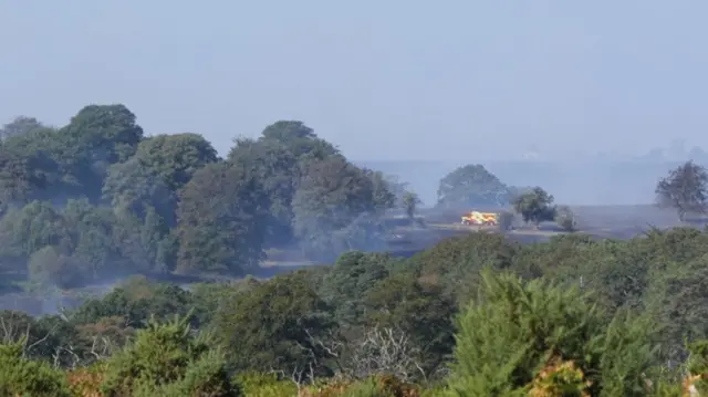 Smoke rises from a major heathland blaze in the New Forest near Ringwood in Hampshire.