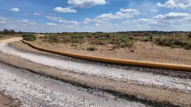 Pipeline in the New Forest