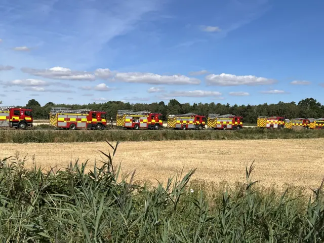 In the foreground there is a field which has been growing wheat. Long grass boarders the field. In the background, there are eight red and yellow fire engines are lined up behind each other.