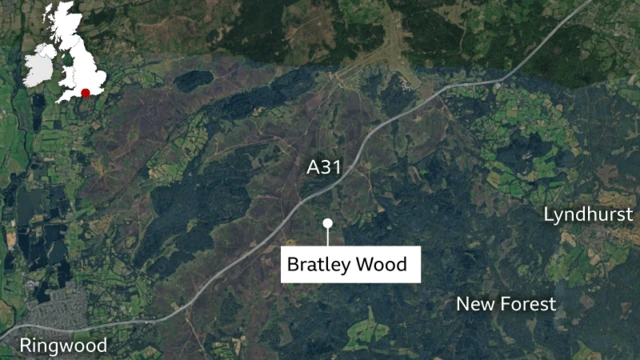 Satellite map of the New Forest in southern England showing the location of Bratley Wood. The site is marked near the A31 road between Ringwood and Lyndhurst, within a large area of woodland and heathland. An inset map of the UK in the top left highlights the location in southern England with a red dot.