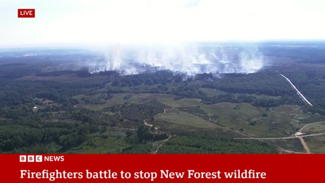 Smoke rises from New Forest