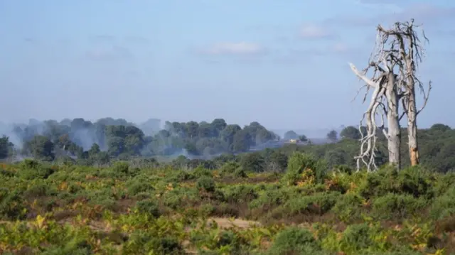 Smoke rises from a major heathland blaze in the New Forest near Ringwood in Hampshire.