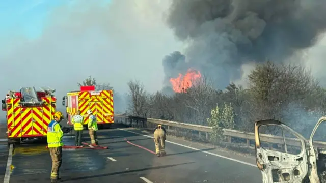 Firefighters on a road next to flaming vegetation