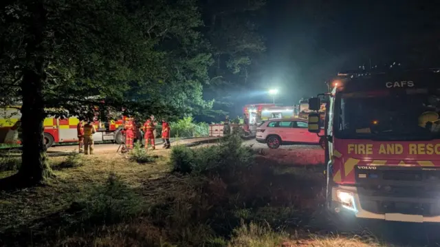 A31 New Forest fire