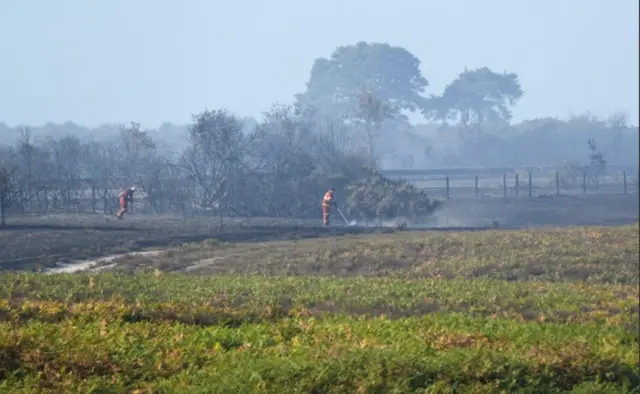 A31 fire