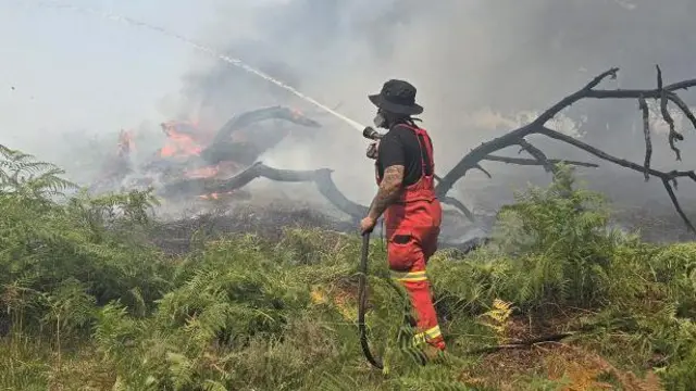 A firefighter in a wide-brimmed hat, T-shirt, fluorescent trousers and wearing a mask aims a hose at flames and smoke in vegetation