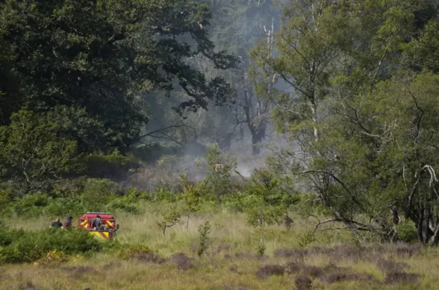 Firefighters working on fire in New Forest