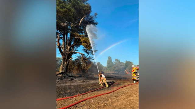 Two firefighters tackling a hotspot with a large hose in a tree on a heathland with a rainbow and blue sky behind them.