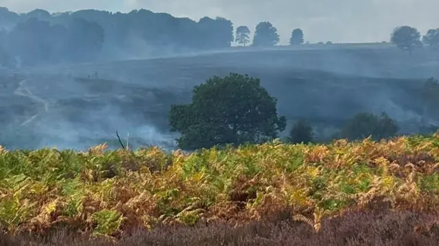 A31 fire