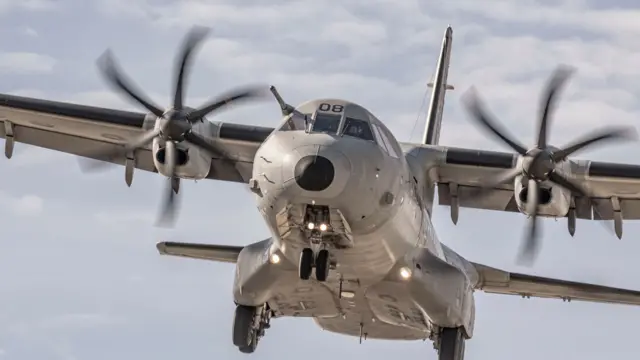 C295
