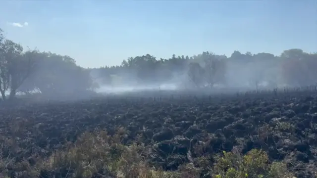 Smoke on heath