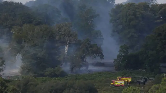 A31 New Forest fire