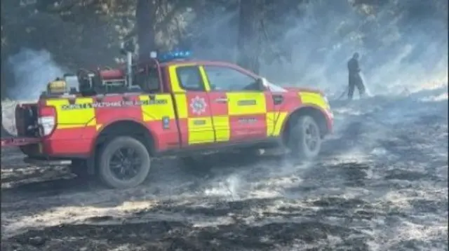 a firefighter spraying water onto burnt ground during a heathland blaze in the New Forest