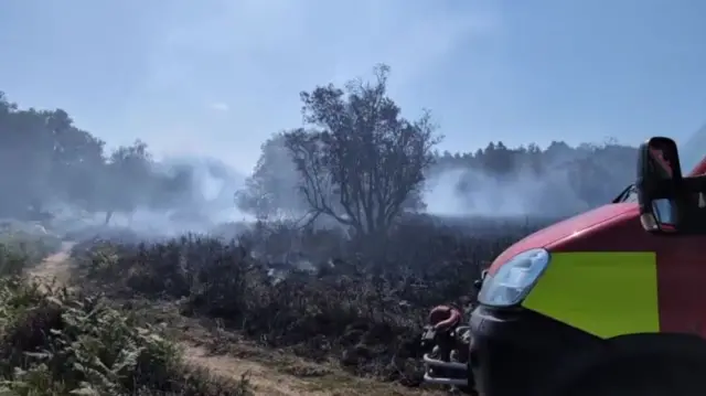A31 New Forest fire