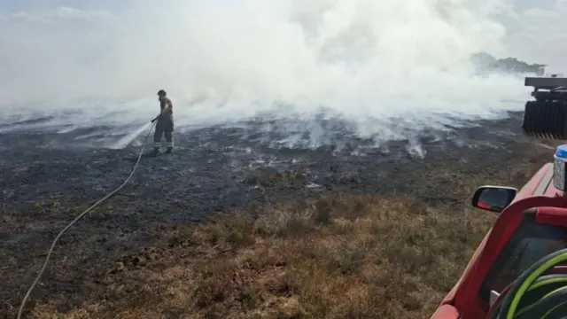 a firefighter spraying water onto burnt ground during a heathland blaze in the New Forest