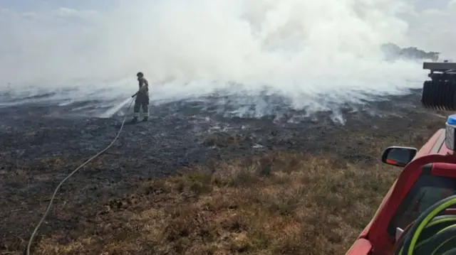 a firefighter spraying water onto burnt ground during a heathland blaze in the New Forest National Park near Ringwood