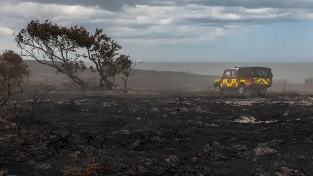 Dunwich Heath appears burnt-out as an emergency vehicle sits next to a tree that has been on fire
