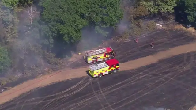A31 New Forest fire