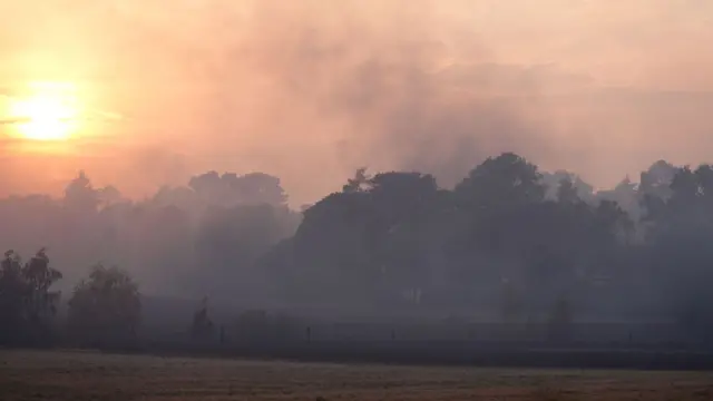 The sunsets over woodland in Stourbridge. The area is blackened by the blaze and smoke continues to rise above the trees.