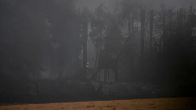 Burned woods in Stourbridge earlier