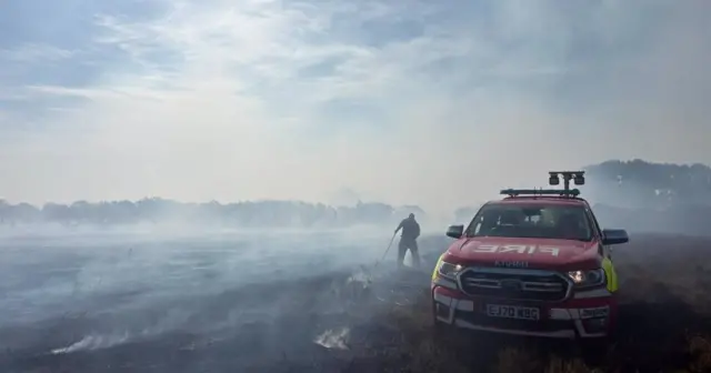 A31 New Forest Fire