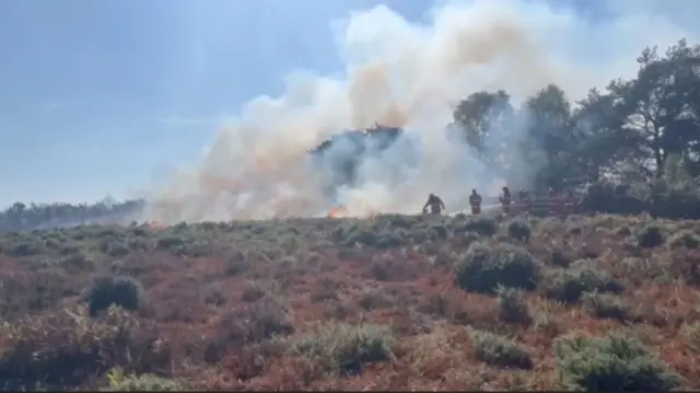 A31 New Forest fire