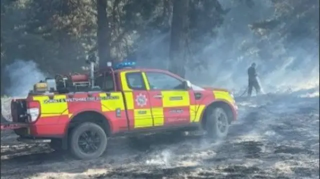 A31 New Forest fire
