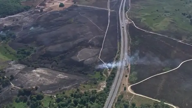 A31 New Forest fire