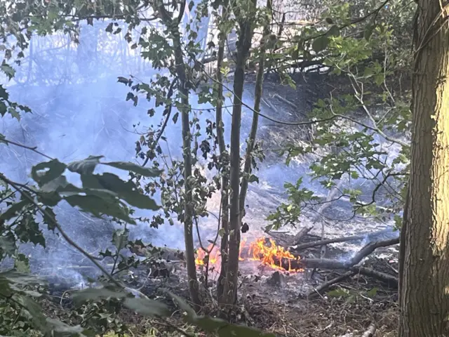 Flames can be seen in a wooded area, with the air around filled with smoke.