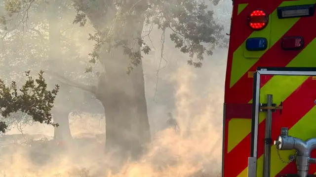 A31 New Forest fire