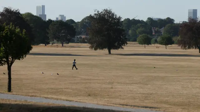 A person walks across yellow grass with trees visible an Birmingham's skyline in the background