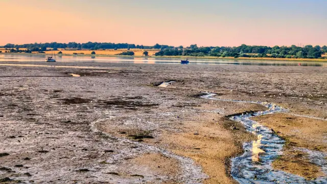 A dry estuary with the tide out in Essex