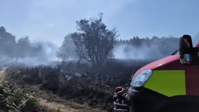 A31 New Forest fire