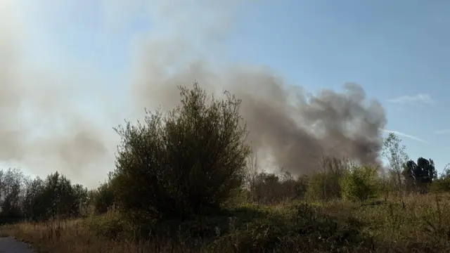 An area of open grassland, with a plume of smoke rising from it. The scene is set against a blue sky.