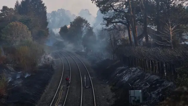 A railway with burnt trees either side.