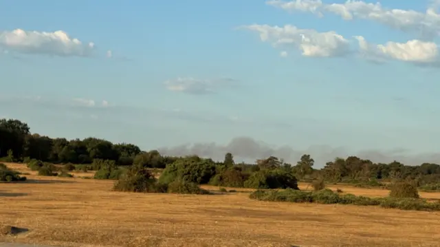 A31 New Forest smoke rising