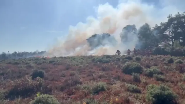 Several firefighters tending to heathland fire. It is a sunny day. Smoke is rising to the sky.