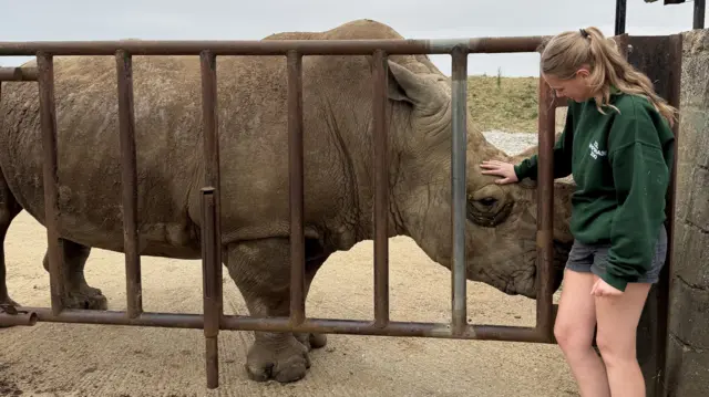 Freya Montague wears a green hoodie and strokes the head of a rhino